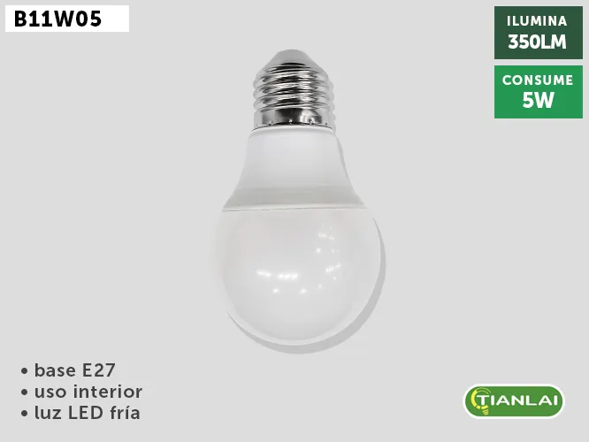 FOCO B11W05