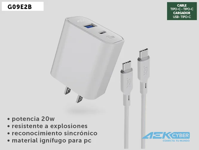 CARGADOR G09E2B