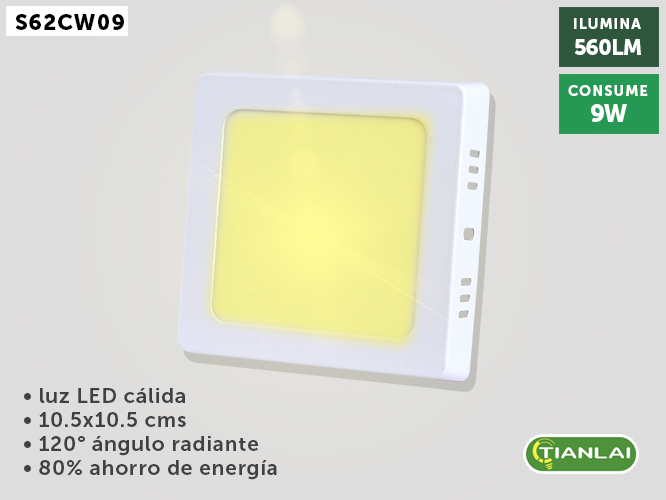 LUMINARIO LED  S62CW09