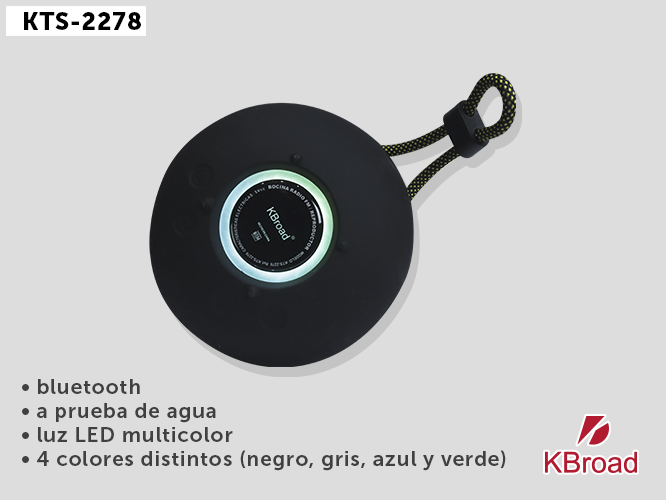 BOCINA KTS-2278