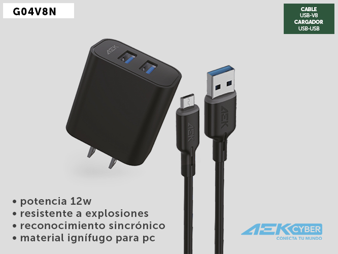 CARGADOR G04V8N