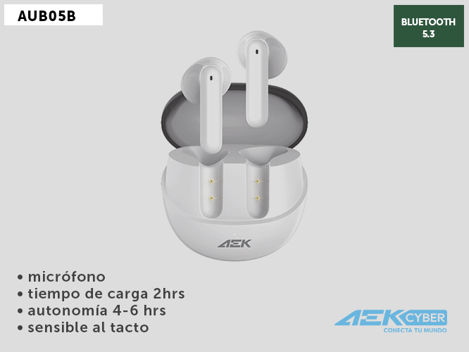 AUDIFONOS AB05TWSNCB