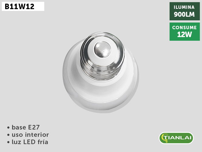FOCO B11W12