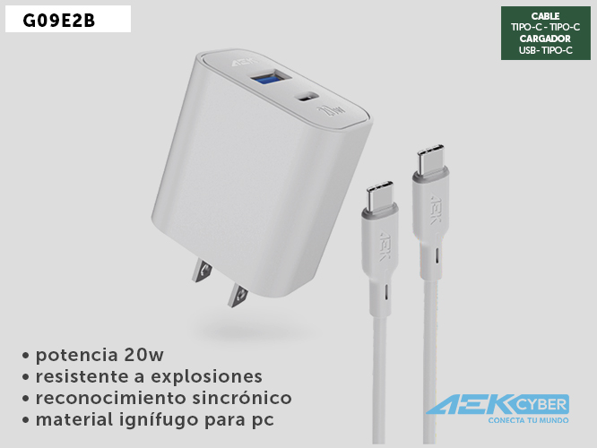 CARGADOR G09E2B