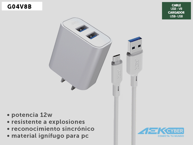 CARGADOR G04V8B